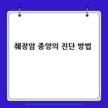 췌장암 종양의 진단 방법