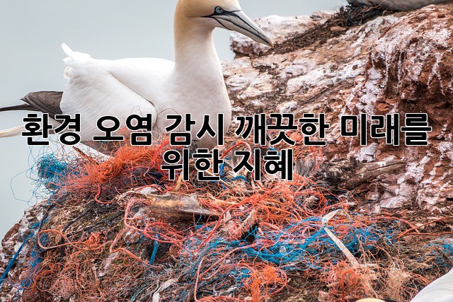 환경 오염 감시: 깨끗한 미래를 위한 지혜