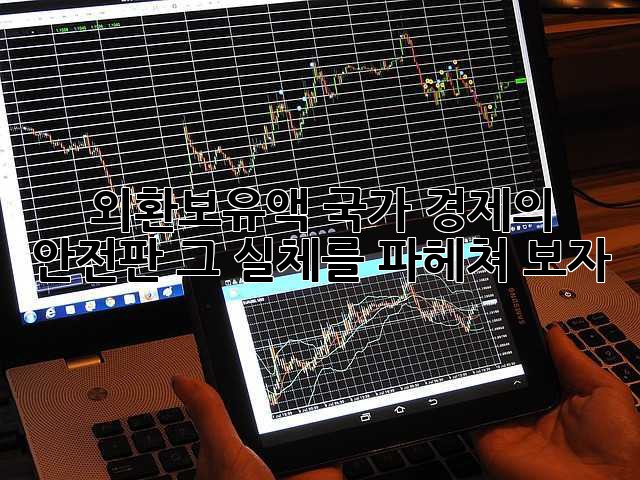 외환보유액: 국가 경제의 안전판, 그 실체를 파헤쳐 보자!
