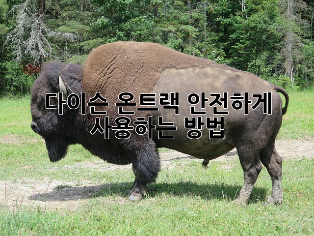다이슨 온트랙: 안전하게 사용하는 방법