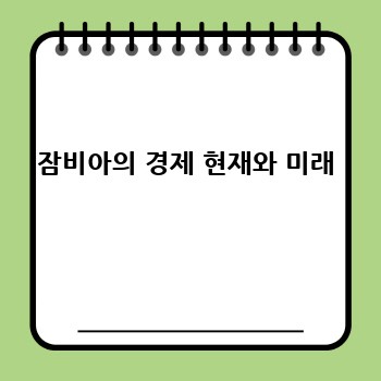 잠비아의 경제 현재와 미래
