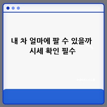 내 차 얼마에 팔 수 있을까  시세 확인 필수